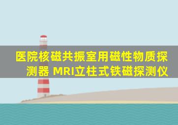 医院核磁共振室用磁性物质探测器 MRI立柱式铁磁探测仪